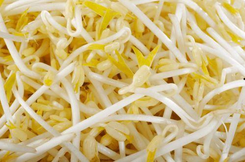 豆芽爆料视频大全集,揭秘娱乐圈幕后真相  第3张