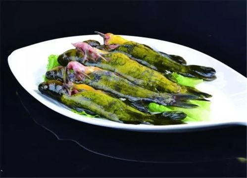 安庆鱼小姐最新爆料,揭秘娱乐圈惊人内幕  第3张