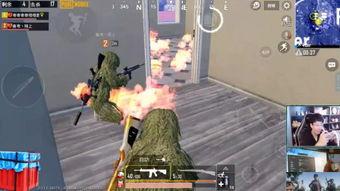 杀鸡最新爆料视频,揭秘幕后真相，视频内容大揭秘！  第2张